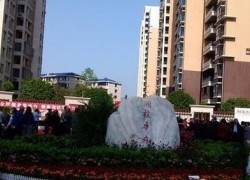 點擊查看詳細信息...