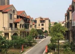 點擊查看詳細信息...