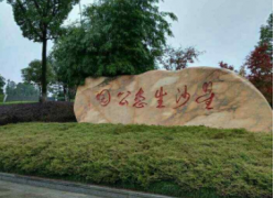 點擊查看詳細信息...